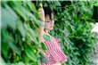 我叫白小飞