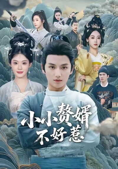 小小赘婿不好惹